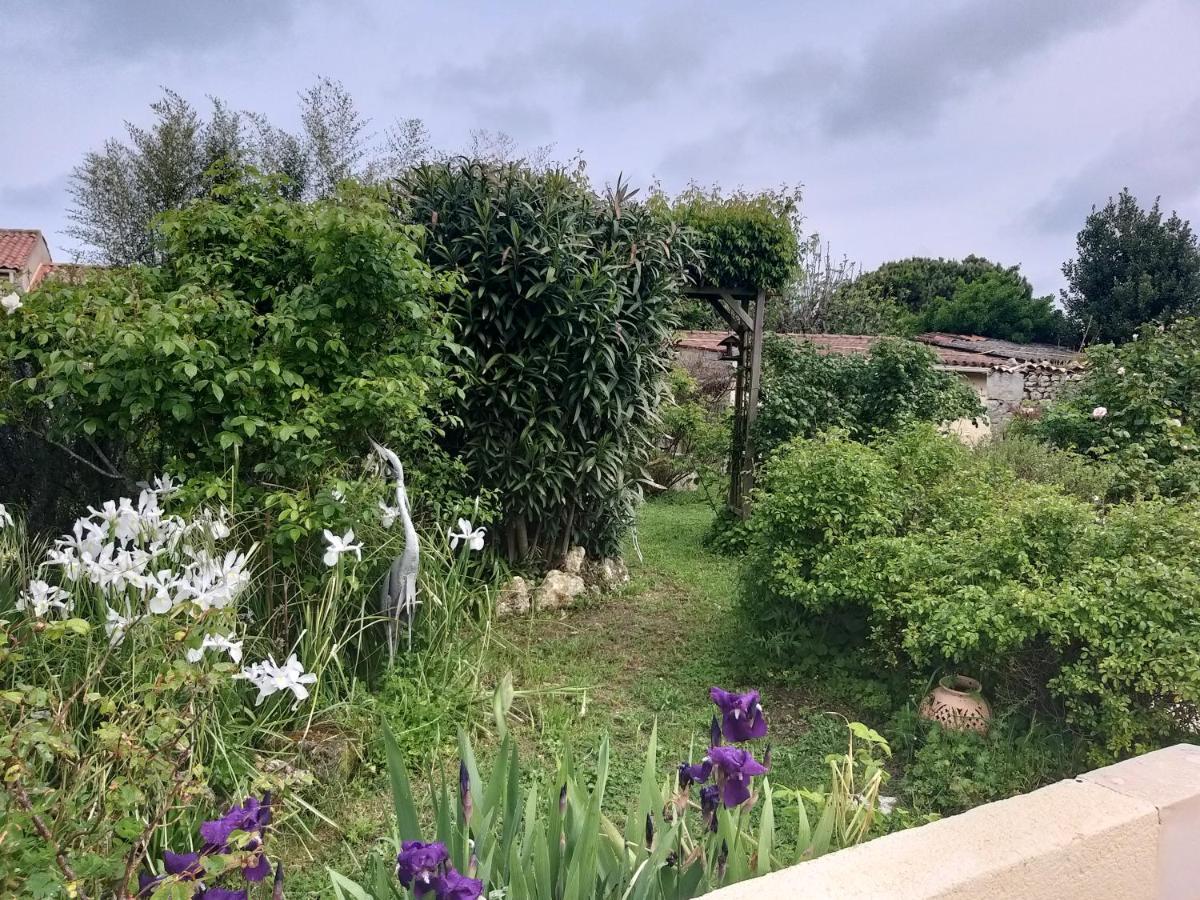 Maison Althea Rosea - 3 Chambres Et Piscine Nieulle-sur-Seudre Kültér fotó